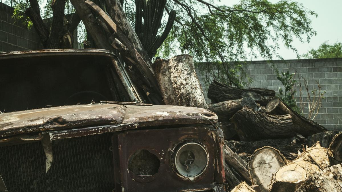 pexels-olivia-nuno-1001487_57664100