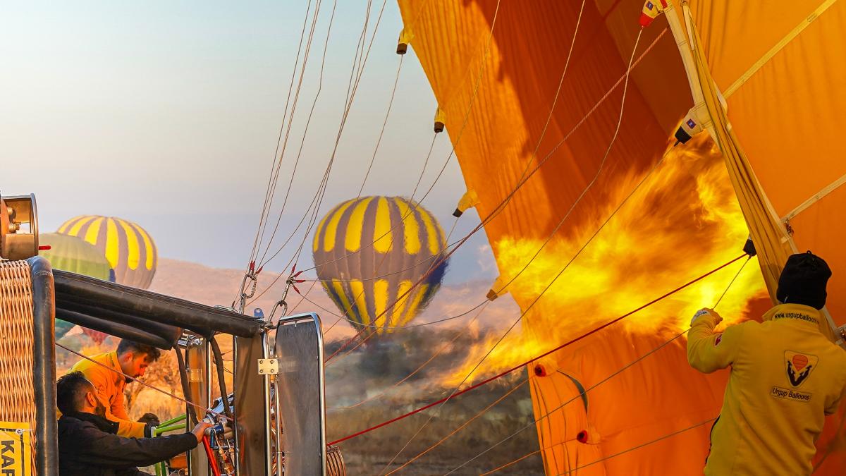 pexels-renato-nascimento-5606658_73783700