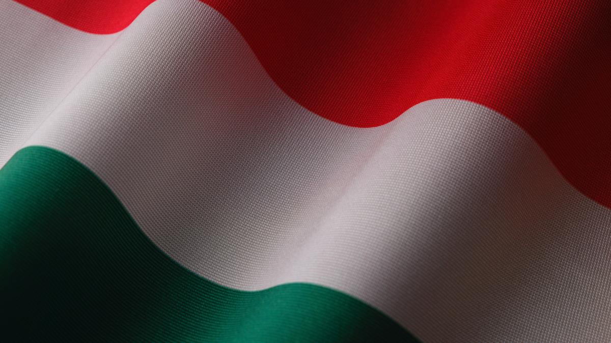 steag-ungaria_40496100