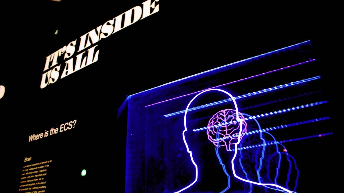 semnale-spiralate-misterioase-in-creier_99297600