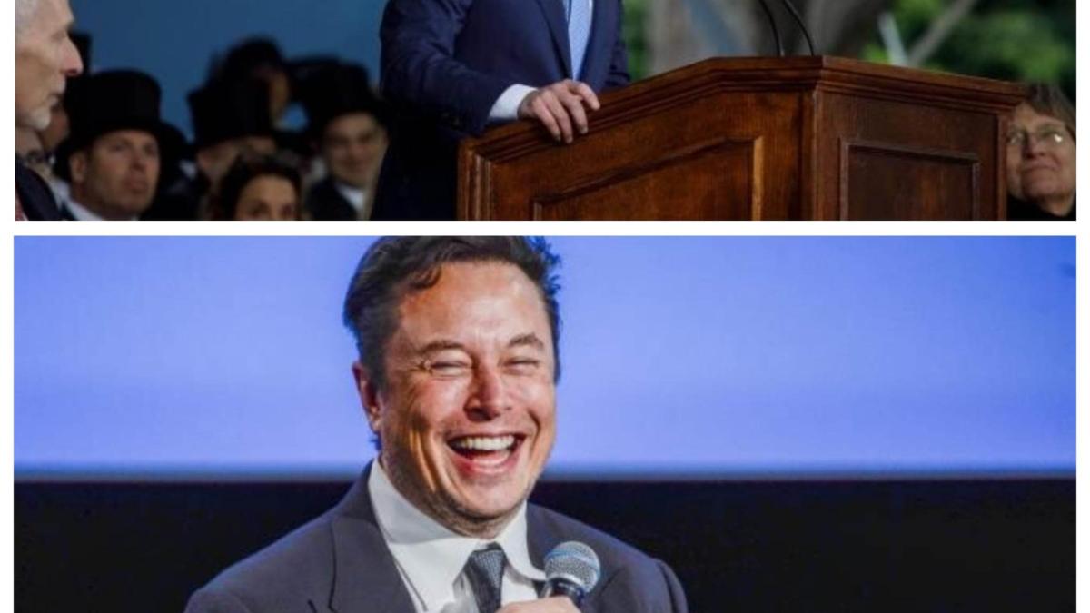elon-musk-si-mark-zuckerberg-vor-sa-se-lupte-pe-ringul-de-arte-martiale_99934600