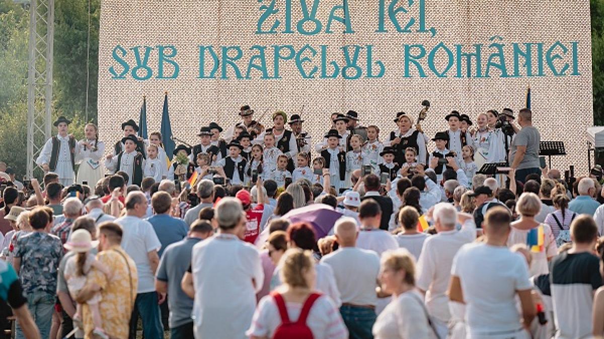 satu-mare-pnl_50643100