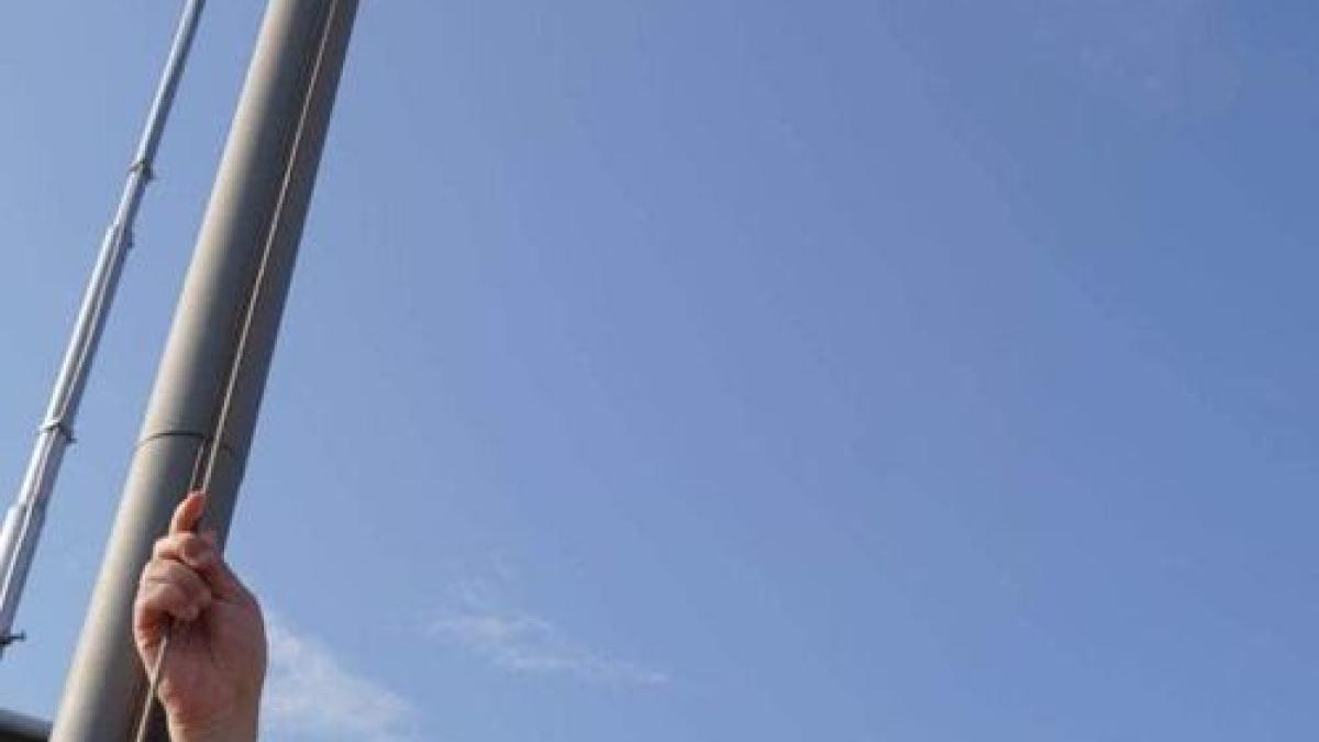 ziua-tricolorului_31954900