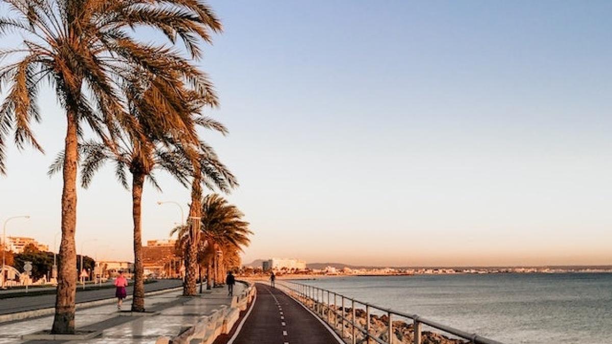 spania-cod-canicula_97454800