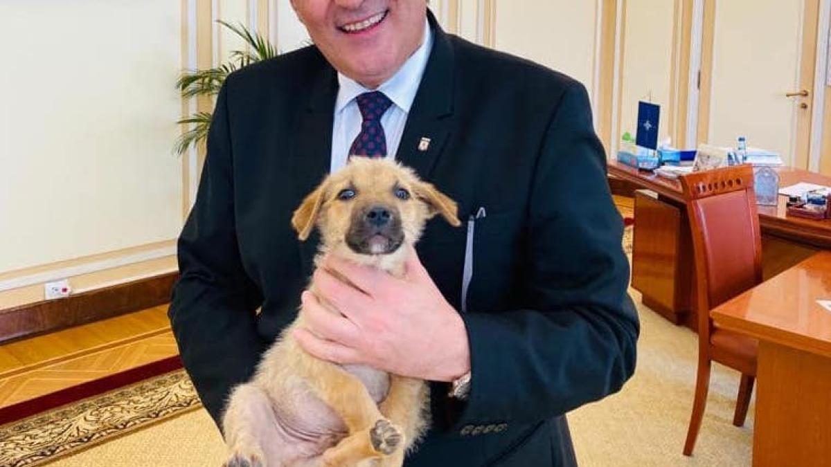 marcel-vela-catel_66791000