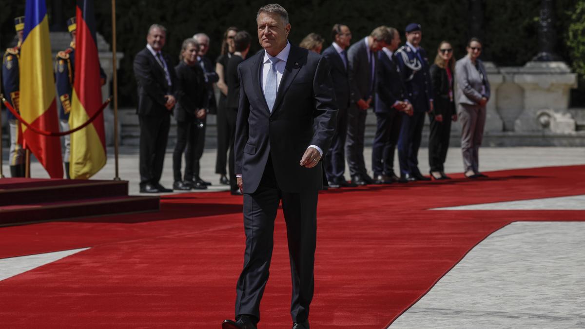 inquam_cotroceni_iohannis_steinmeier_004_inquam_photos_octav_ganea_67010200