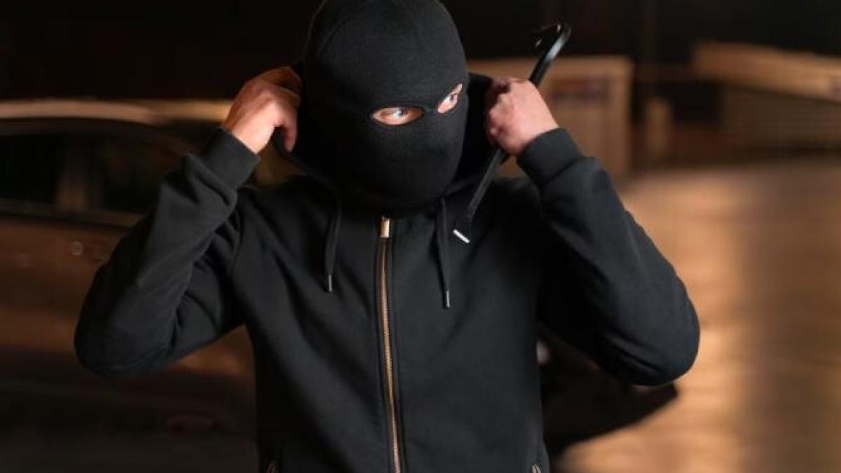 criminal-timis-video_39876200