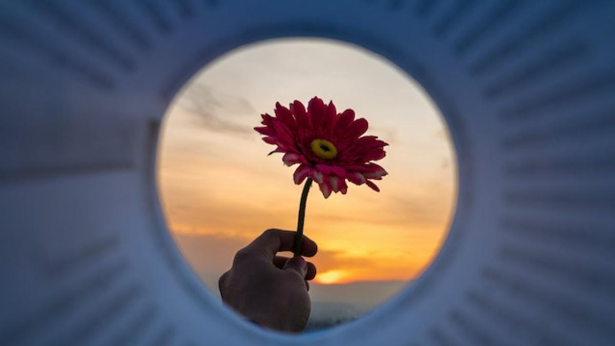 imagine-ilustrativa_25382800