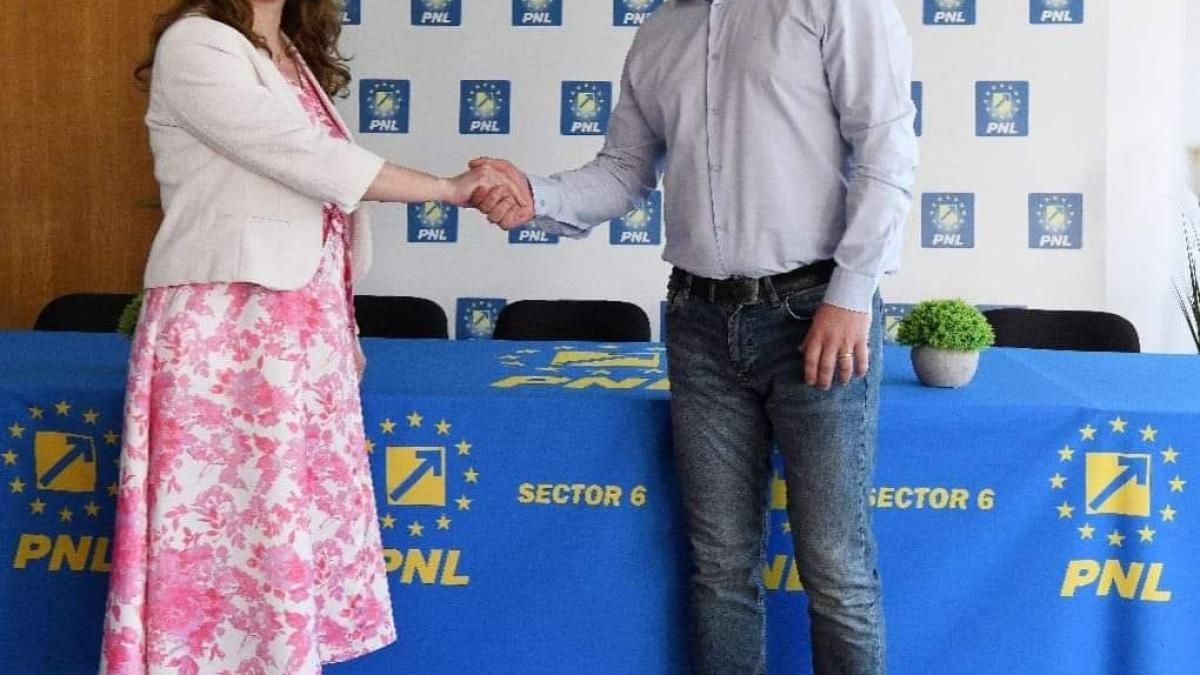 ligia_deca_pnl_sector_6_15205600