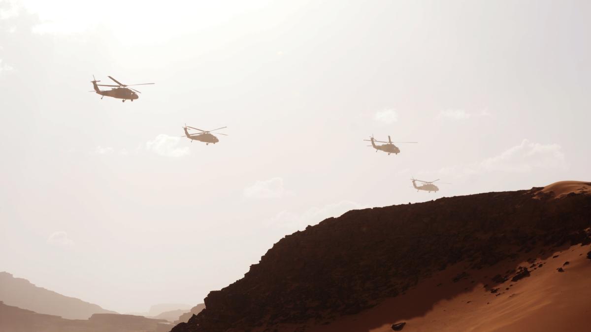 centru-elicoptere-black-hawk_92406400