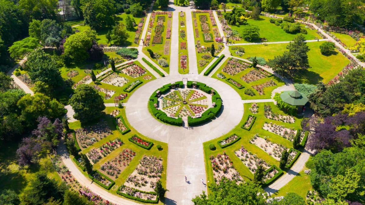 gradina-botanica_88910400