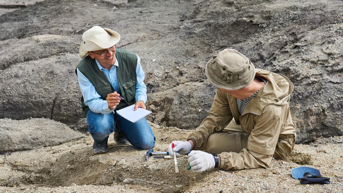 sapaturi-arheologice_99289100