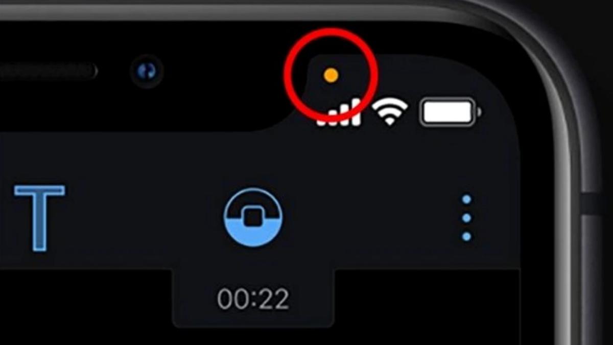 bulina-portocalie_10965300