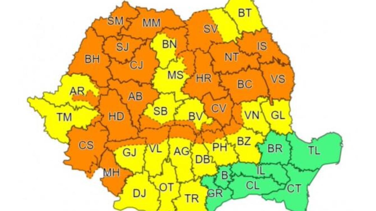 cod-galben-cod-portocaliu_41882800