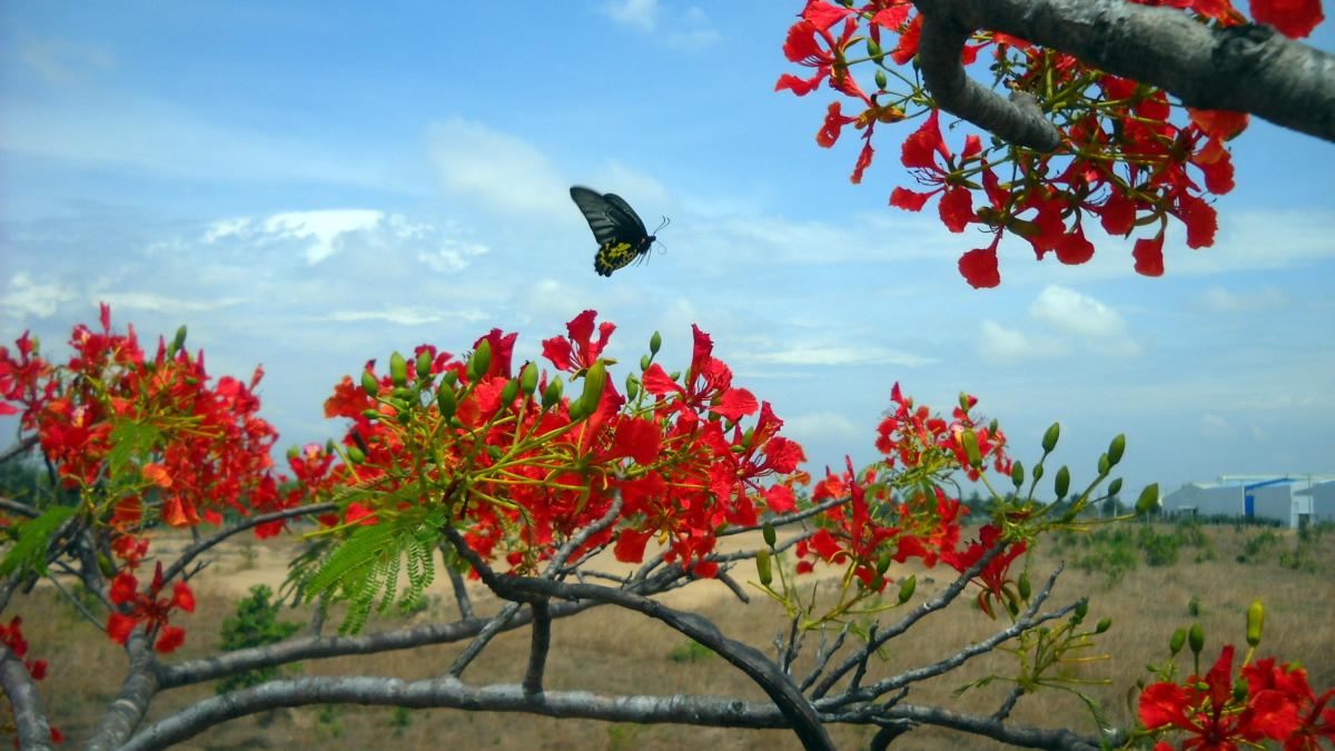 calendar-crestin-ortodox--sarbatoare-6-iulie-2023_09149000
