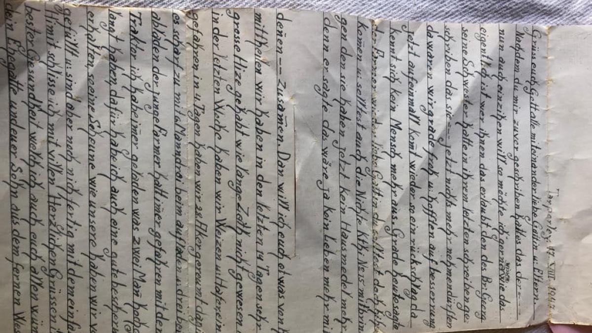 358100557_6503400976386972_1728677631571089381_n_97446500