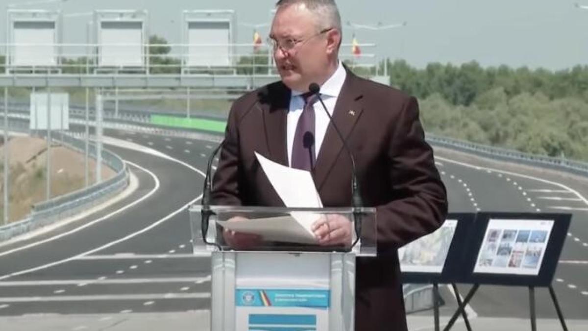 ciuca-pod-braila_97499700