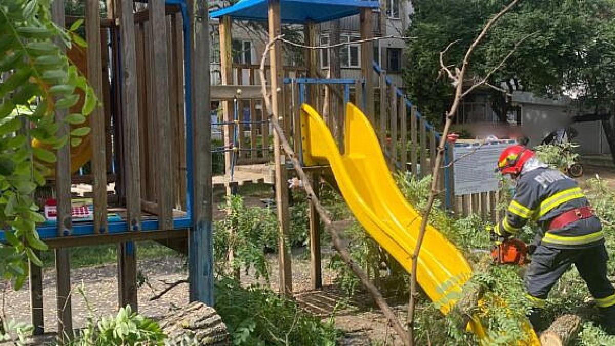 298ec994477594082791c82f106500325_79551600