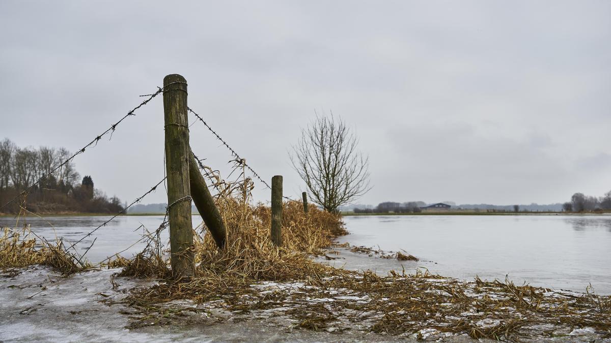 cod-galben-de-viituri--11-judete-vizate_14809800