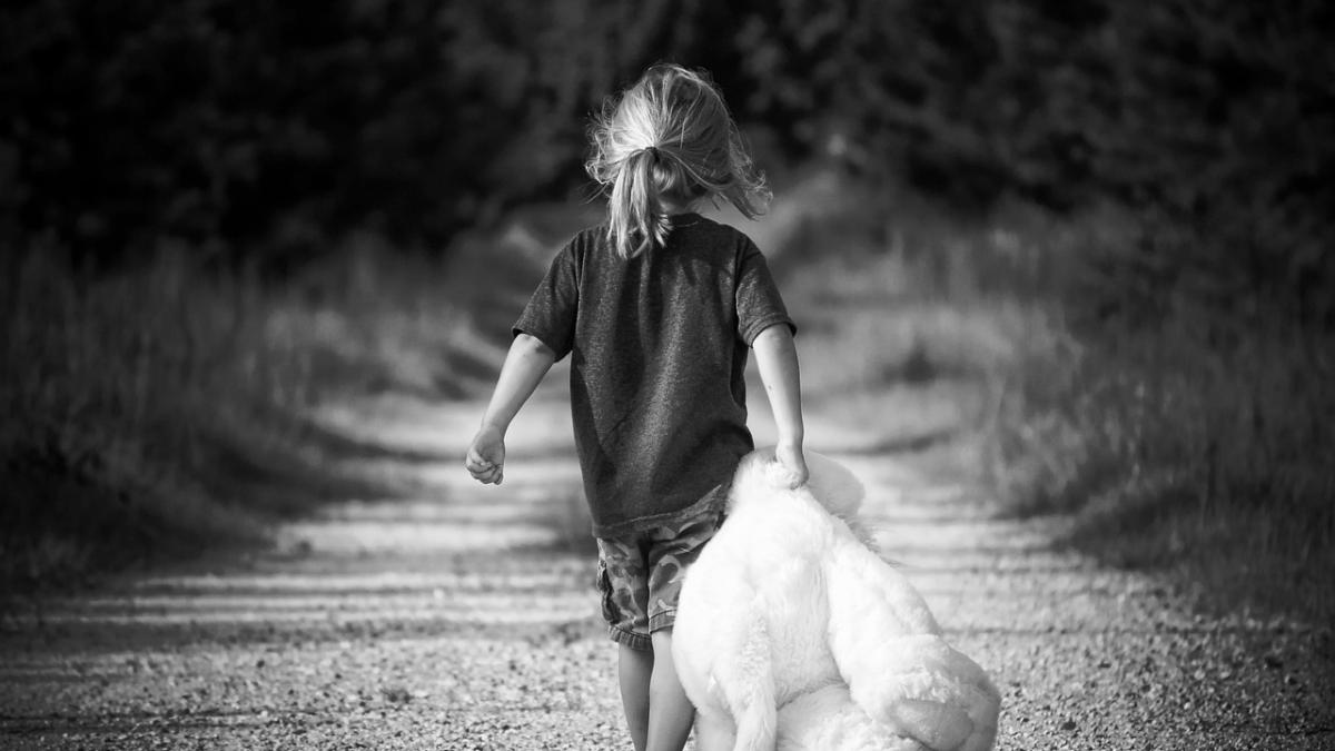 fetita-disparuta-dunare_34169600