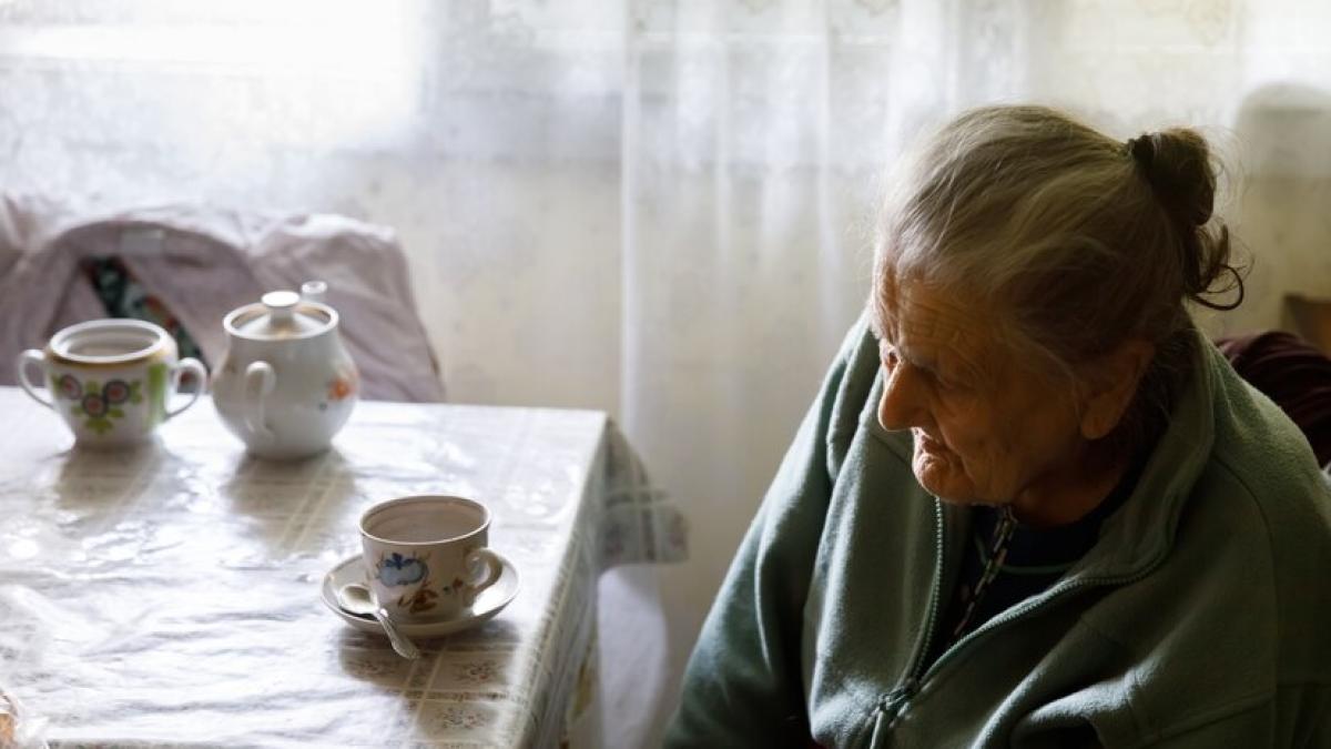 azil-batrani_46395400