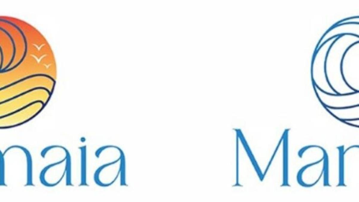 mamaia-renunta-la-logo-copy-paste_86629600