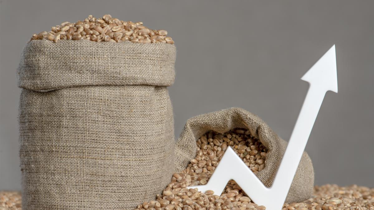 a-crescut-pretul-graului_36963700