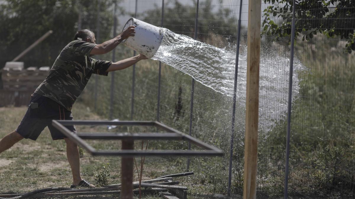 incendiu_vegetatie_maurele_009_inquam_photos_george_calin_13343400