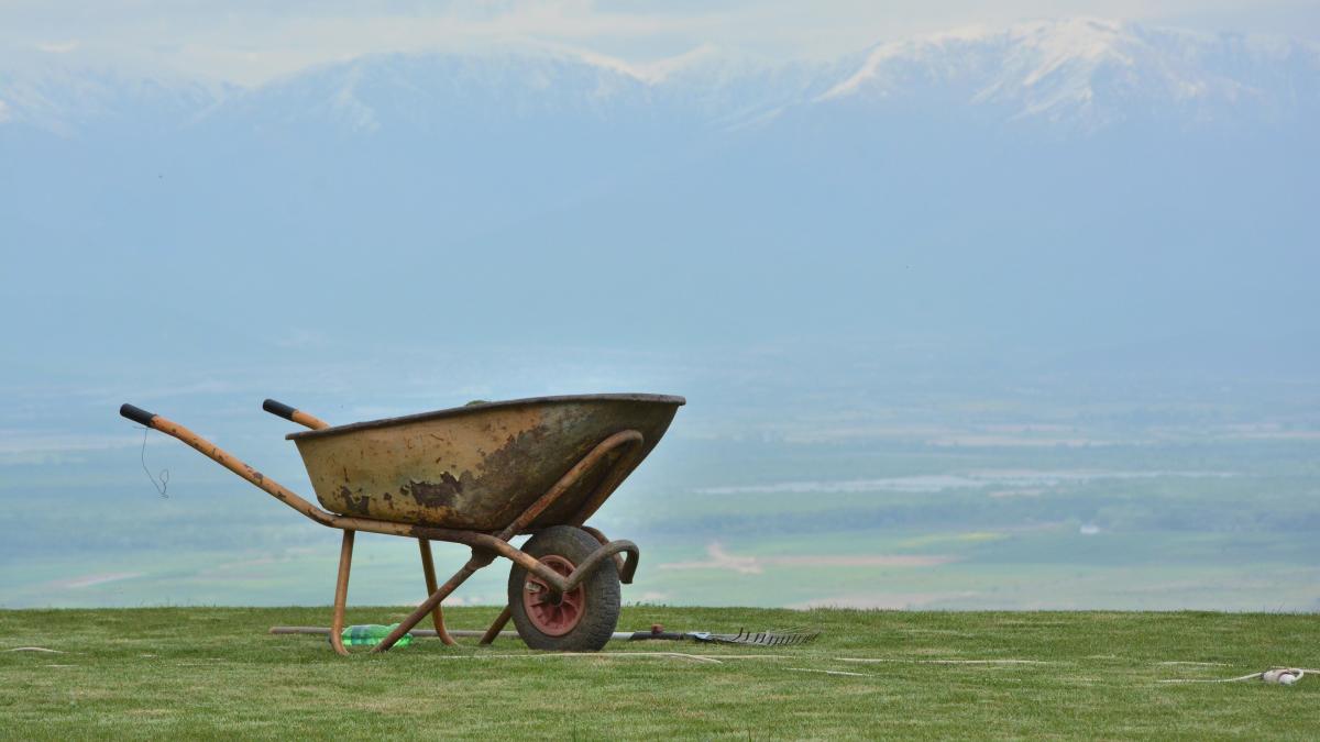 pexels-miroslav-stasevskij-5047373_19127700