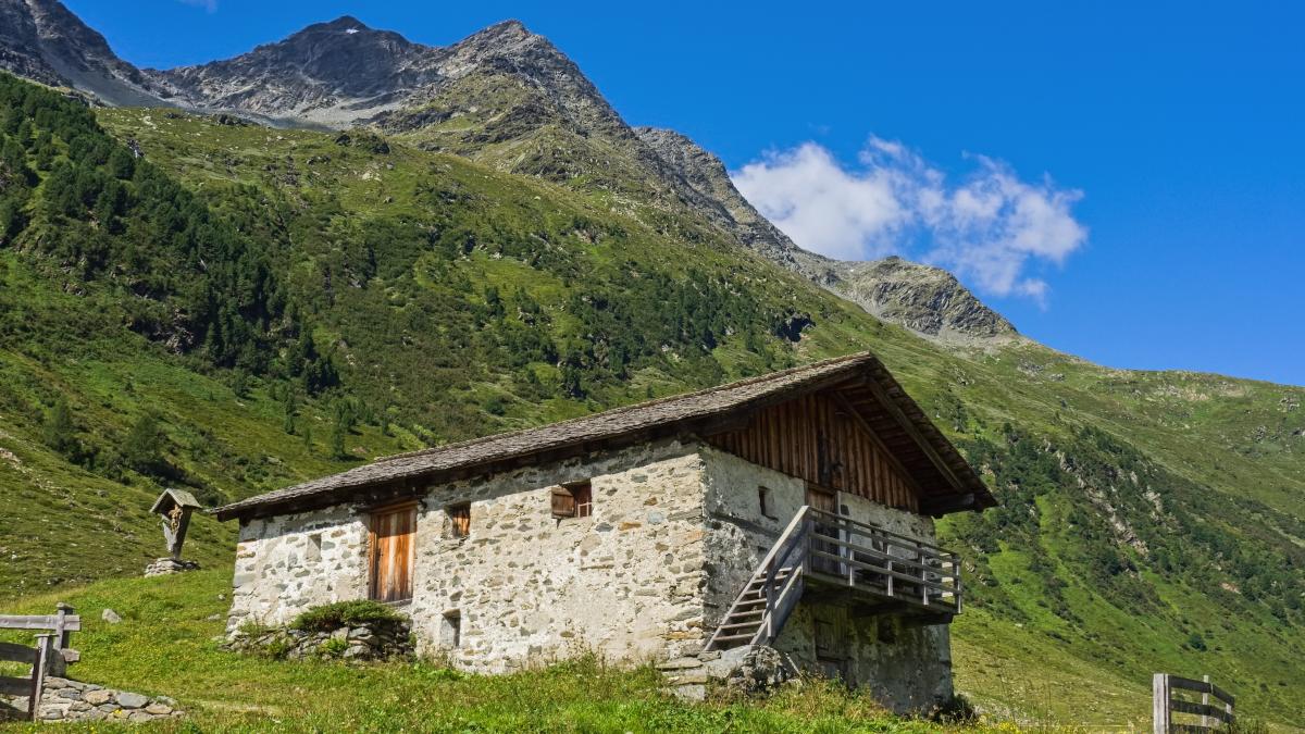 pexels-wilhelm-grantler-17054701_21110900