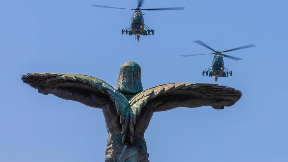 ziua-fortelor_20513500