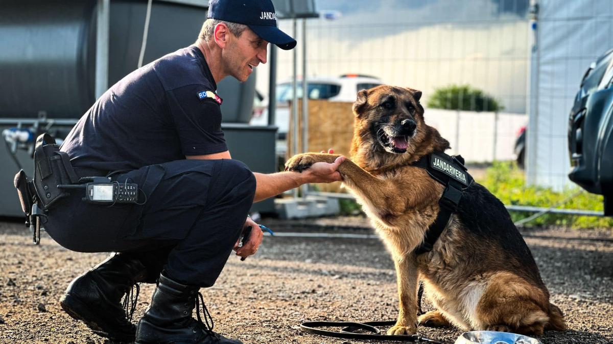 electric_castle_jandarmerie_fb_36039900