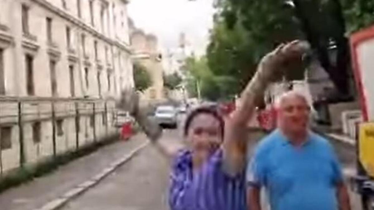 cristina-dumitra-atac-marian-ceausescu_38523400