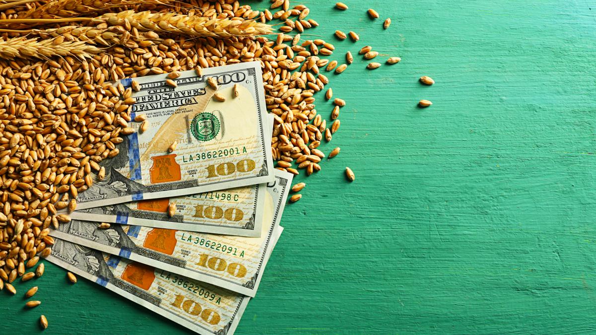 piata-cerealelor_77488300