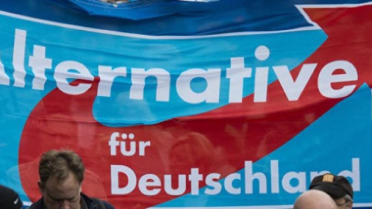 alternativa_pentru_germania_75698100