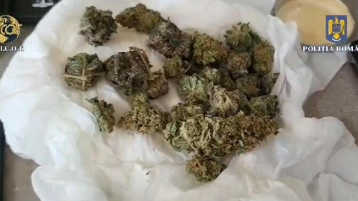 traficanti-de-droguri--retinuti-in-prahova--au-fost-ridicate-1-2-kg-de-canabis_25712700