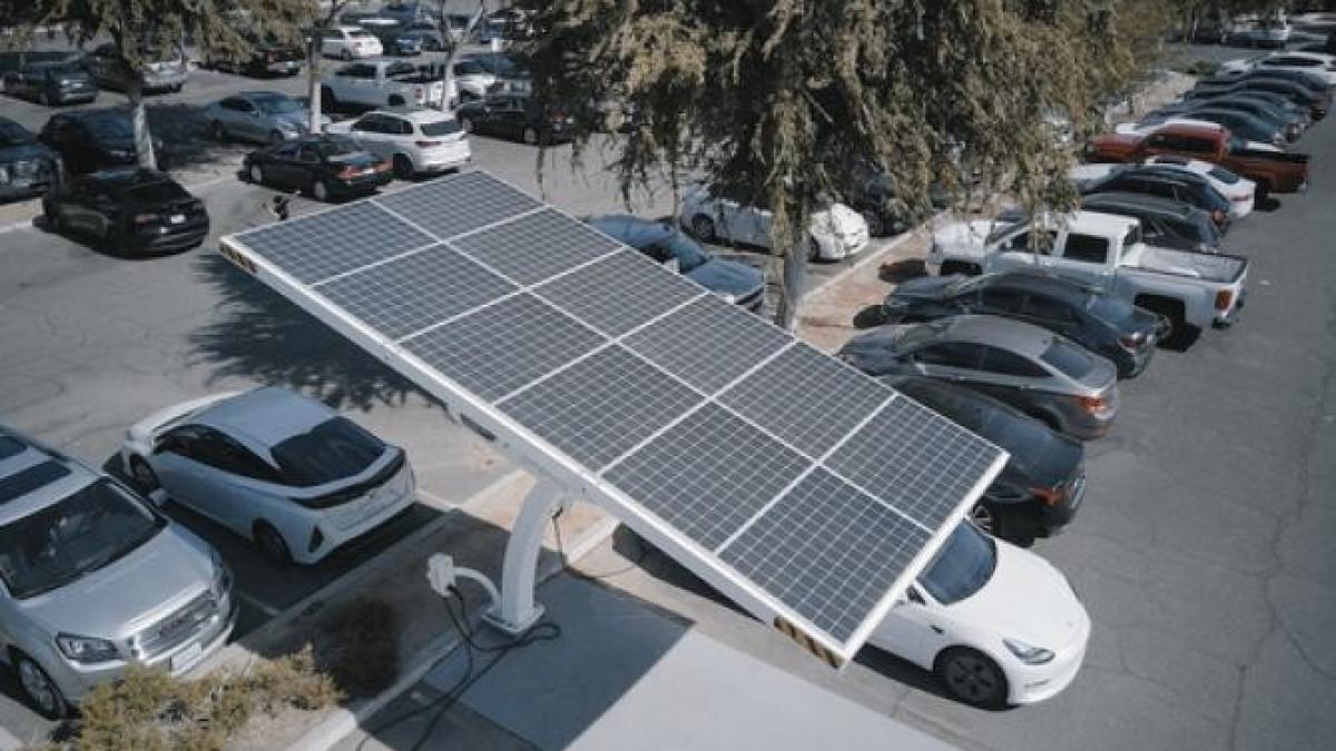 mai-putine-prc-e2prc-80prc-9dporcarii-verziprc-e2prc-80prc-9d--politicienii-britanici-vor-reducerea-taxei-ecologice_75910500