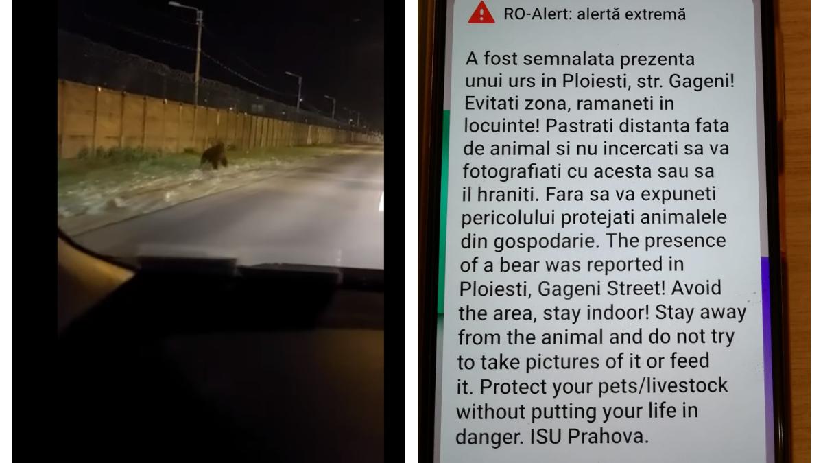 urs-ro-alert-ploiesti_90271700