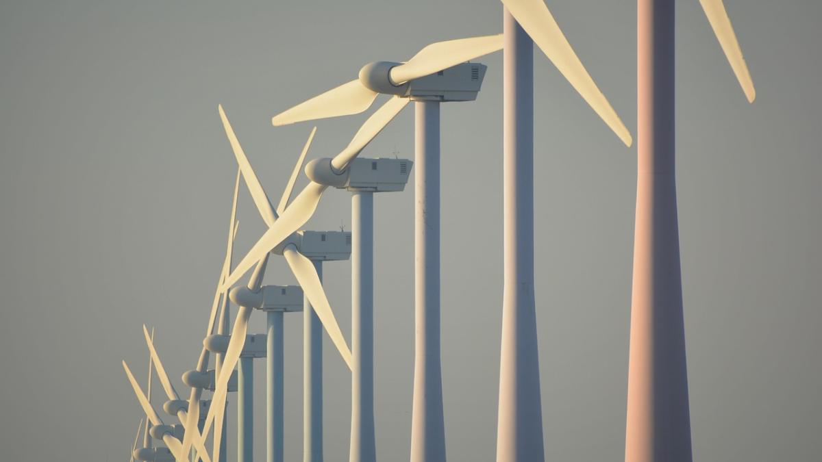 tunisia-energie-verde-ursula_73384700