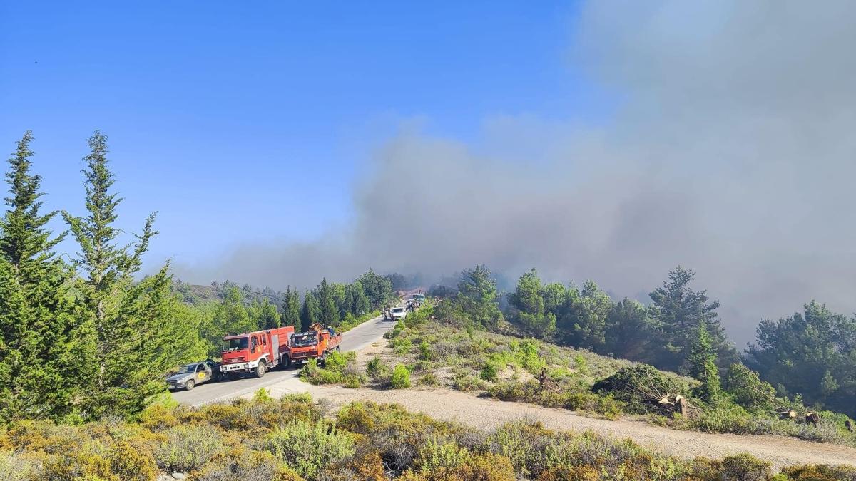 incendiu-in-rodos--ministrul-elen-al-turismului-ii-linsteste-pe-turisti-doar-o-mica-parte-a-insulei-a-fost-afectata_27420400