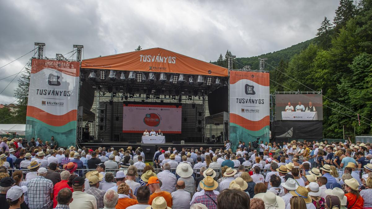 pnl-mesaje-provocatoare-orban_49130600