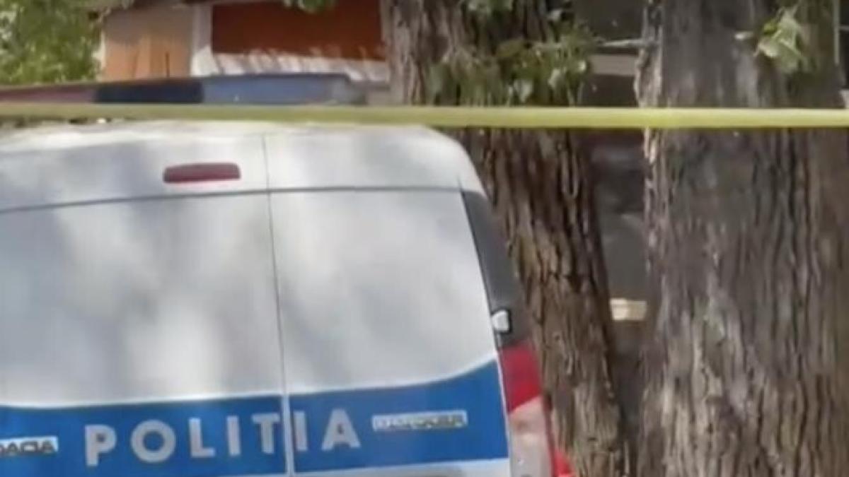 crima-mamaia_38622800