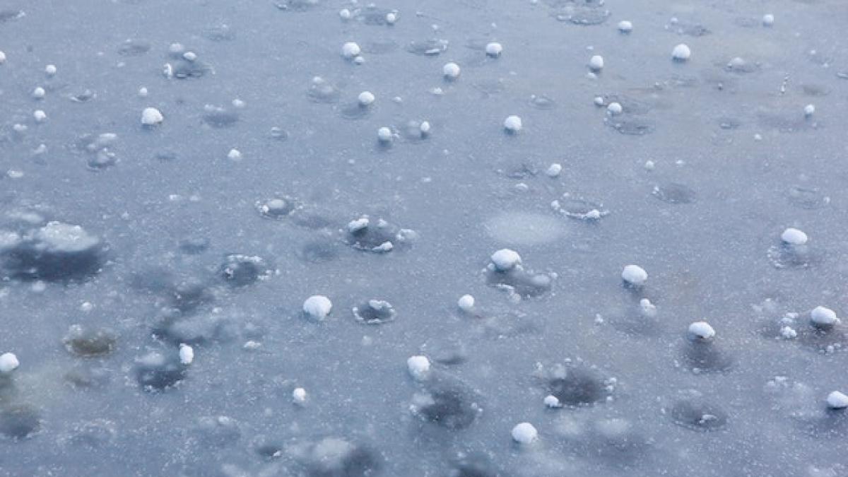 grindina-pexels_90738000