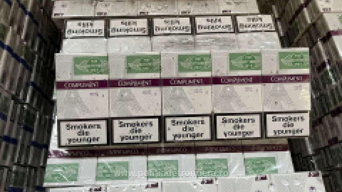 peste-8-400-de-pachete-de-tigari-de-contrabanda--gasite-pe-malul-prutului_59636300