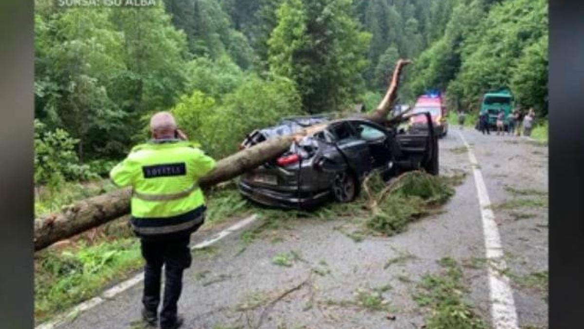 dosar-pentru-ucidere-din-culpa-in-cazul-tragediei-de-pe-transalpina_85524400