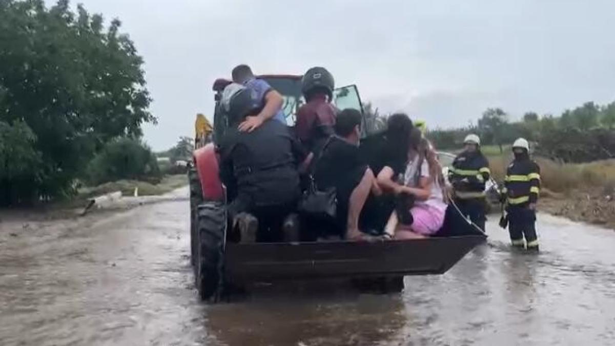 oameeni-scosi-cu-excavatorul_47933000