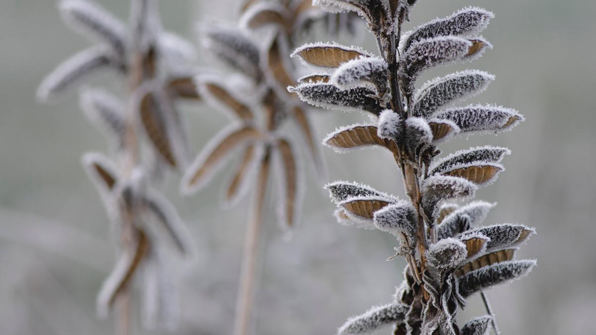 1-un-grade-celsius-in-toul-verii_34289000