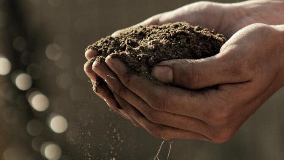 green-deal-germania-franta-parlamentul-european-razboi-carmen-avram_99686700