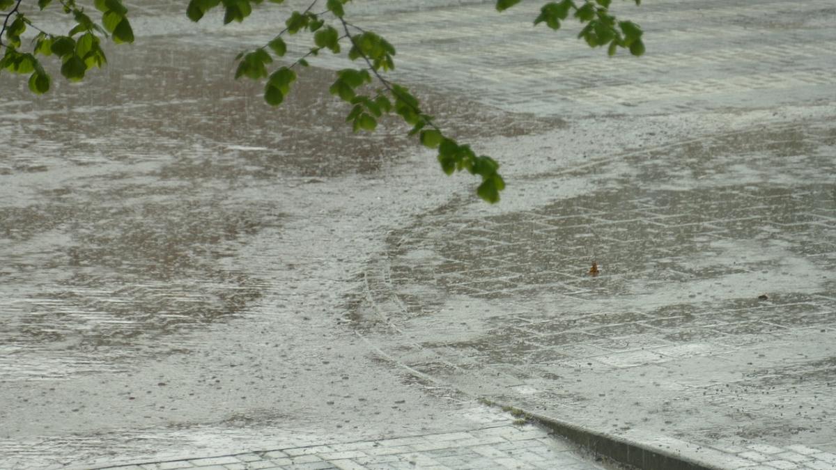 ploi-romania-elena-mateescu_77568300