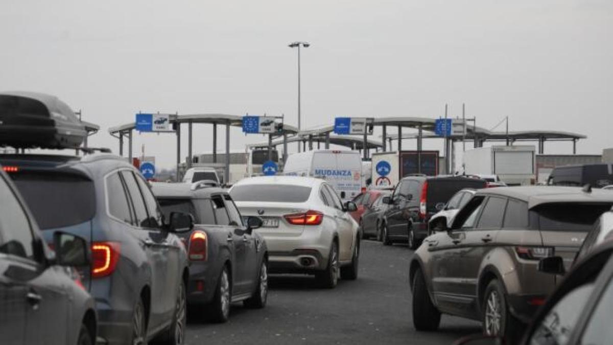 dna_nadlac_ager_77214100